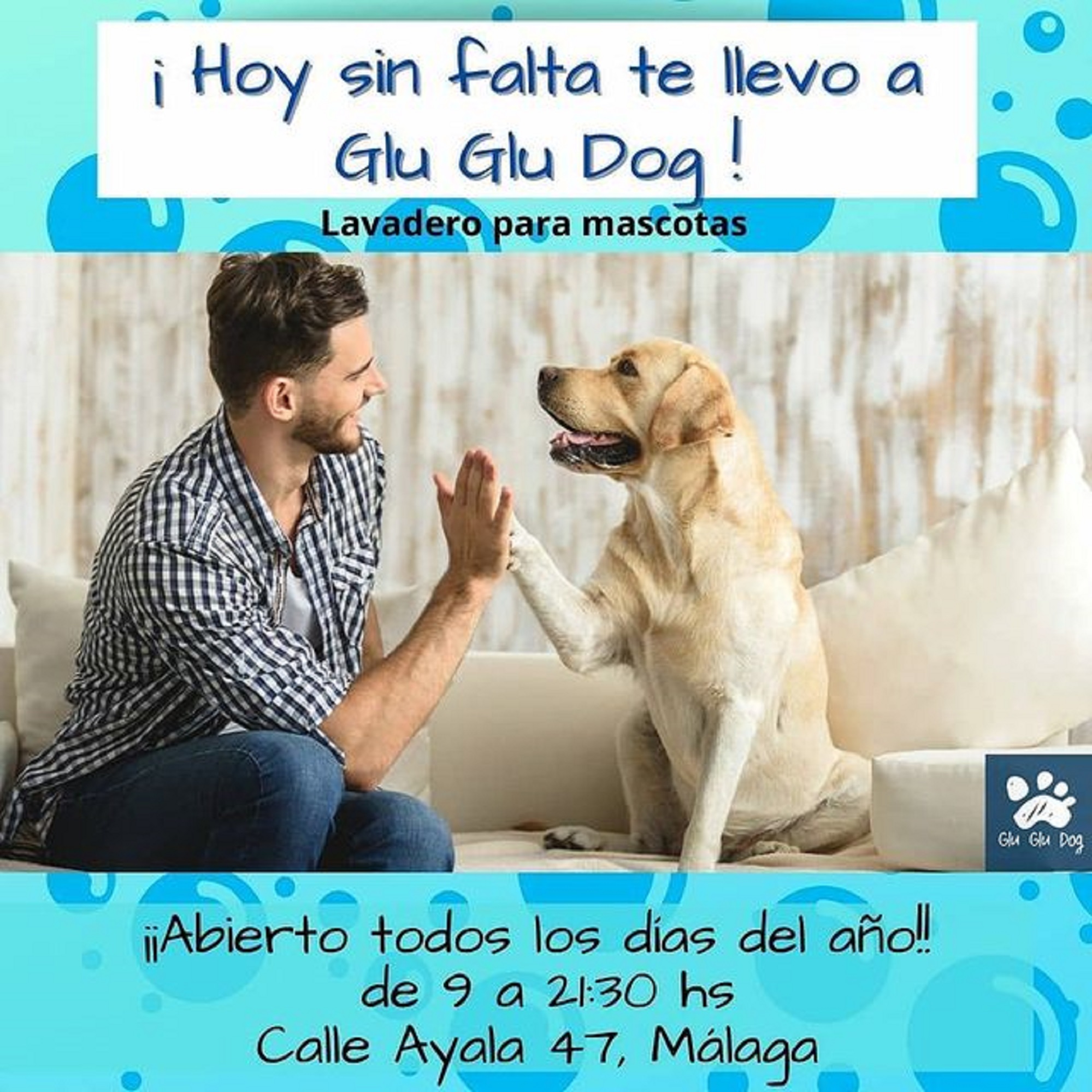GluGluDog 5